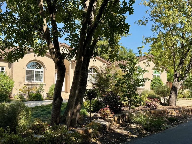 Front Yard Refresh in Palo Alto