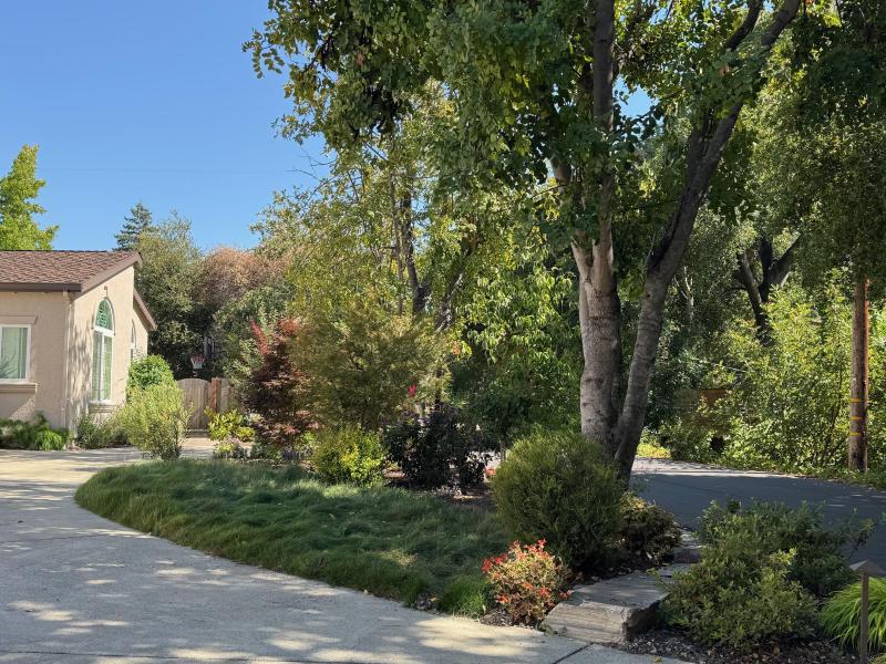 Front Yard Refresh in Palo Alto gallery image