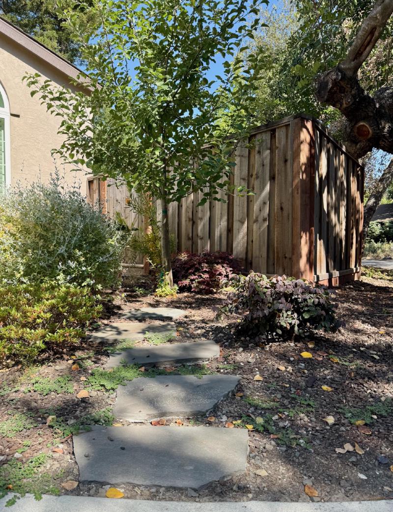 Front Yard Refresh in Palo Alto gallery image