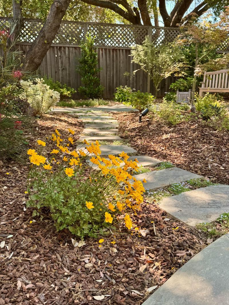 Garden Retreat in Los Altos gallery image