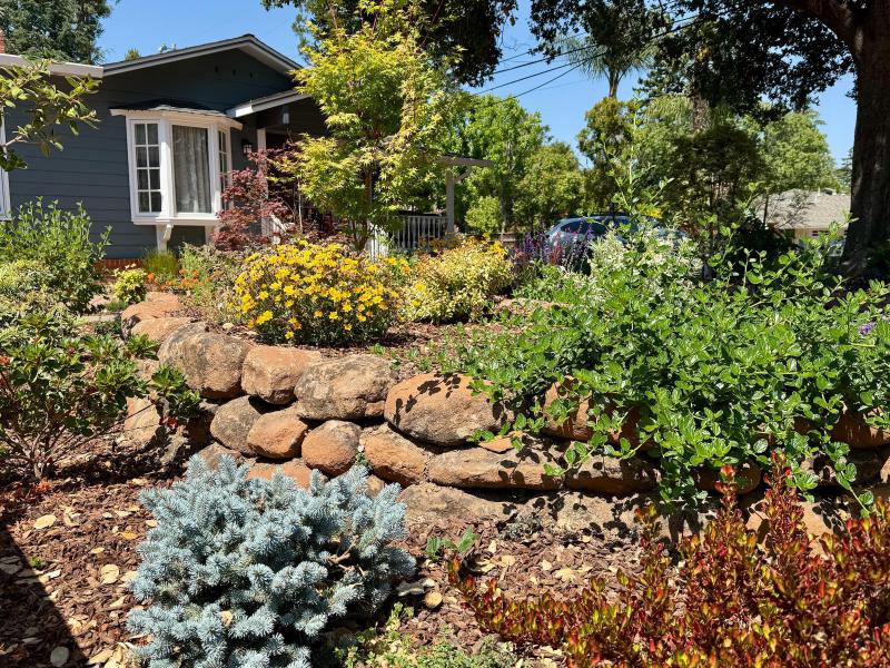 Garden Retreat in Los Altos gallery image