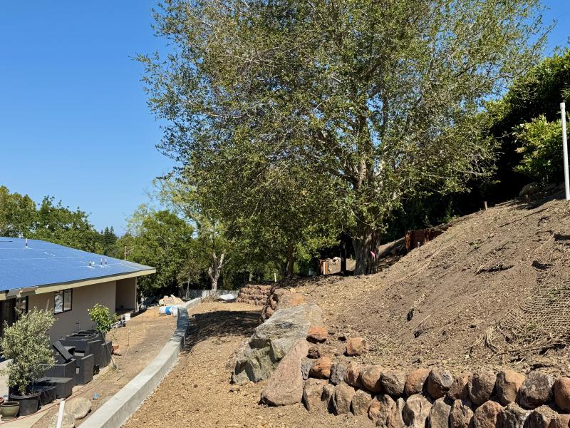 Hillside Transformation in Los Altos Hills
 gallery image