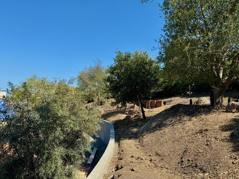 Hillside Transformation in Los Altos Hills
 gallery image