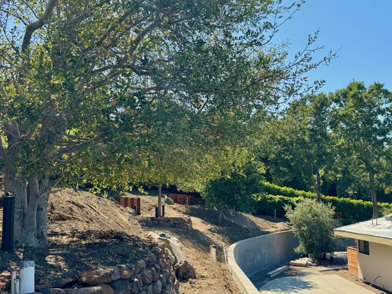 Hillside Transformation in Los Altos Hills
