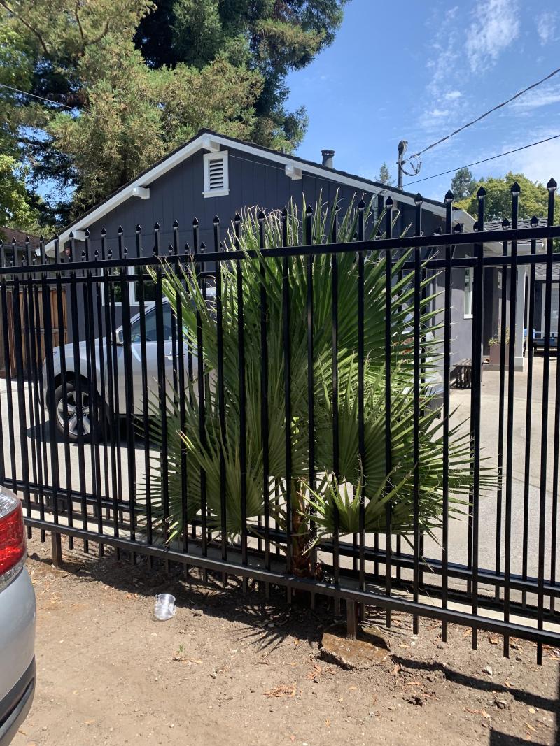 Complete Outdoor Transformation gallery image