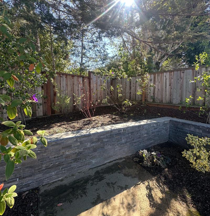 San Carlos Backyard Renewal gallery image